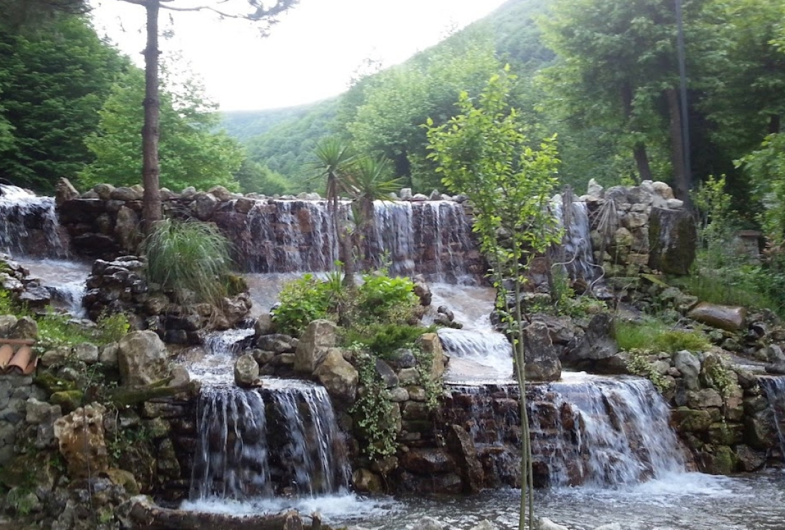 Nature Tours