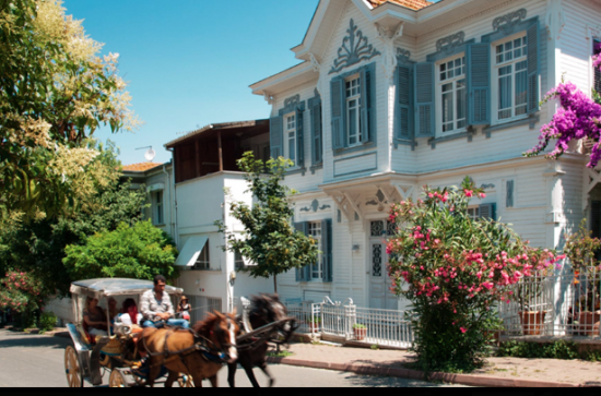 Princes’ Islands Adventure: Full-Day Büyükada Tour with Lunch