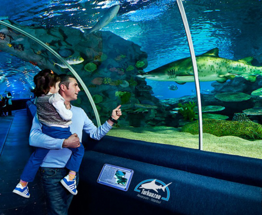 Istanbul Aquarium Ticket & Shuttle