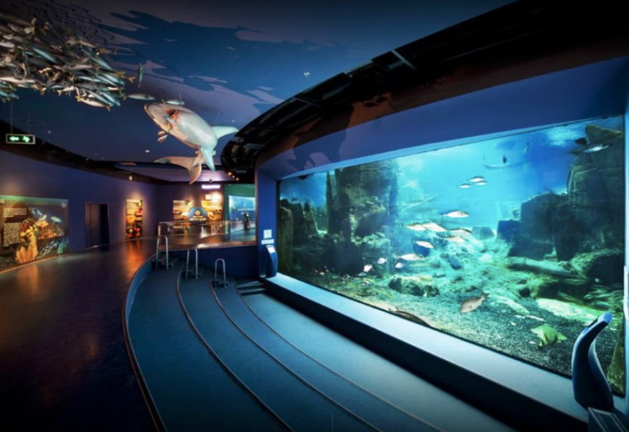 Istanbul Aquarium Ticket & Shuttle