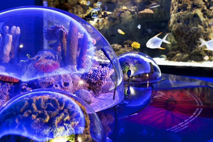 Istanbul Aquarium Ticket & Shuttle