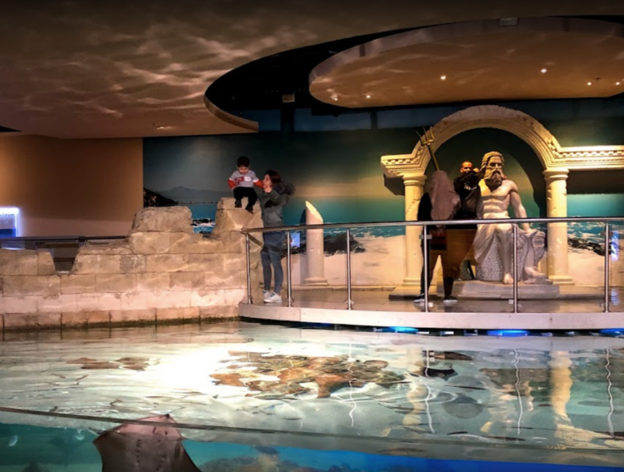 Istanbul Aquarium Ticket & Shuttle