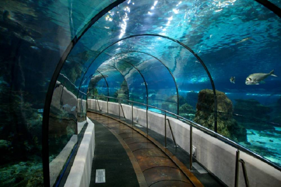 Istanbul Aquarium Ticket & Shuttle