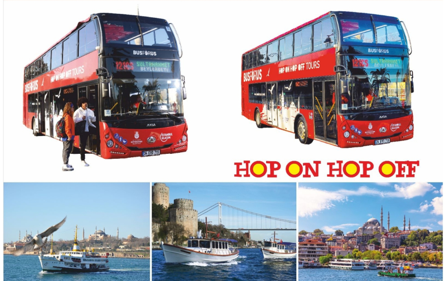 Bus + Boat Tour